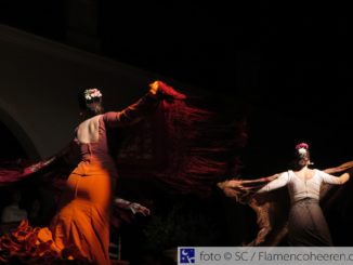 Gala flamenca alamillo